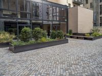 an empty parking lot with plants in the ground and on the side of the building, there is an enclosed area and windows