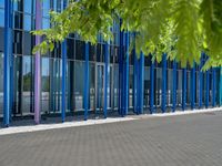 a building with pink glass and purple striped exterior is shown with the brick path on the left