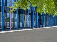 a building with pink glass and purple striped exterior is shown with the brick path on the left