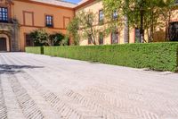 a cobblestone walkway lined with shrubbery and hedges and doors on a yellow building