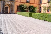 a cobblestone walkway lined with shrubbery and hedges and doors on a yellow building