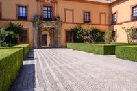 a cobblestone walkway lined with shrubbery and hedges and doors on a yellow building