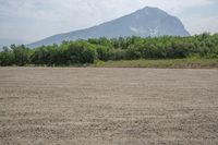 there is a large mountain behind the field of grass and weeds in the foreground