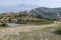 a bear standing on top of a hill near a lake next to a forest and mountains