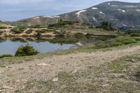 a bear standing on top of a hill near a lake next to a forest and mountains