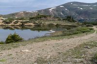 a bear standing on top of a hill near a lake next to a forest and mountains