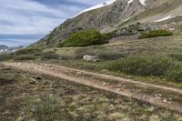 Colorado Alpine Landscape: Nature, Grass, and Snow