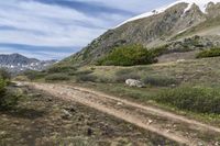 Colorado Alpine Landscape: Nature, Grass, and Snow