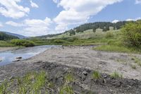 an arid area with some grass, water and trees on a sunny day and a river