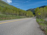 a yellow and black sign is on the street near some mountains and trees in the distance