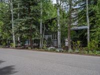 an empty street lined with trees and a mountain range in the distance in the back