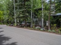 an empty street lined with trees and a mountain range in the distance in the back