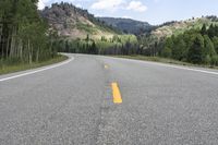 a yellow line on the road leading from a small hill in the background is a forested area