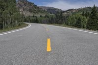 a yellow line on the road leading from a small hill in the background is a forested area