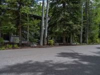 an empty street lined with trees and a mountain range in the distance in the back