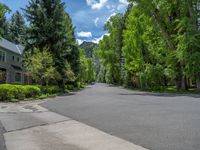 an empty street lined with trees and a mountain range in the distance in the back