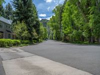 an empty street lined with trees and a mountain range in the distance in the back