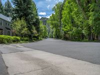 an empty street lined with trees and a mountain range in the distance in the back