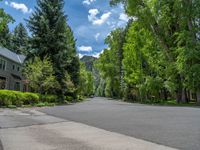 an empty street lined with trees and a mountain range in the distance in the back