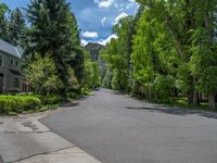 an empty street lined with trees and a mountain range in the distance in the back