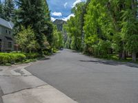 an empty street lined with trees and a mountain range in the distance in the back