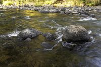 Colorado Autumn Landscape: Taylor River