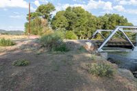 Colorado Bridge in Lush Green Environment