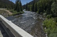 a man stands on the side of a bridge over a river near a wooded area