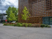 street corner with tree on the corner of the corner and a building behind it that is surrounded by multiple windows and a perforated brown lattice