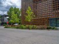 street corner with tree on the corner of the corner and a building behind it that is surrounded by multiple windows and a perforated brown lattice