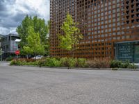 street corner with tree on the corner of the corner and a building behind it that is surrounded by multiple windows and a perforated brown lattice