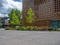 street corner with tree on the corner of the corner and a building behind it that is surrounded by multiple windows and a perforated brown lattice