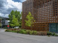 street corner with tree on the corner of the corner and a building behind it that is surrounded by multiple windows and a perforated brown lattice