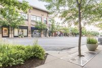 a city street lined with planters of trees and grass and sidewalk signs on it