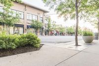 a city street lined with planters of trees and grass and sidewalk signs on it