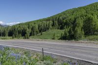 Colorado Clear Sky Mountain Landscape