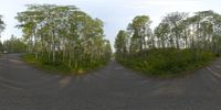 the camera is taking an image of two vehicles parked in front of trees on a country road