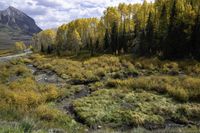 Autumn Landscape in Crested Butte, Colorado