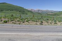 mountains in the background with trees, bushes and a road sign near a street sign