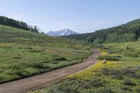 a dirt road leads through green field filled with flowers and a mountain in the background