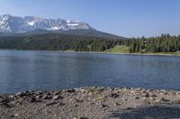 a brown cow standing in front of a body of water and a mountain range,