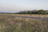 a large open field with trees and a road in the distance at dusk with mountains beyond