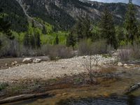 a forest is seen in this wide angle view in this photo from the bottom of the trail