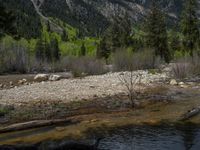 a forest is seen in this wide angle view in this photo from the bottom of the trail