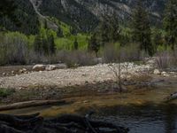 a forest is seen in this wide angle view in this photo from the bottom of the trail