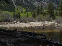 a forest is seen in this wide angle view in this photo from the bottom of the trail