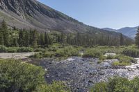 Daytime in Colorado: Mountain Landscape with Clear Skies