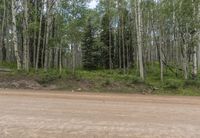 Daytime in Colorado: A Low Traffic Road in the State