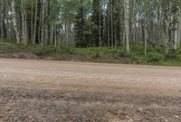 Daytime in Colorado: A Low Traffic Road in the State