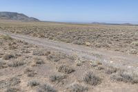 Colorado Desert Landscape: Clear Skies and Natural Environment